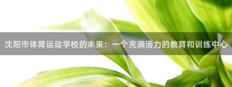 vsport体育官方正版app集团简介：沈阳市体育运