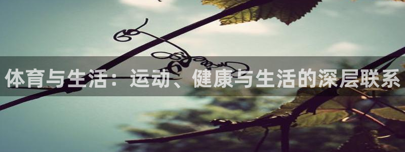 vsport体育官网下载招商电话号码是多少：体育与生活：运动
