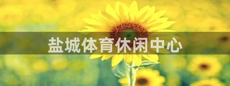 vsport体育官网下载招商电话号码：盐城体育休闲中心