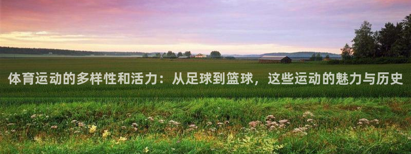 vsport体育官方正版app娱乐首页网站大全：体育运动的多