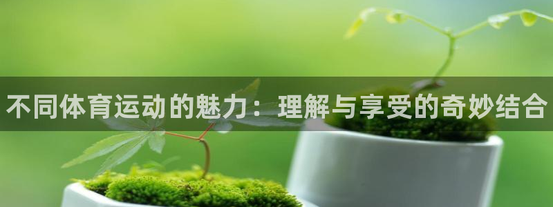 vsport体育官网下载招商电话号码查询：不同体育运