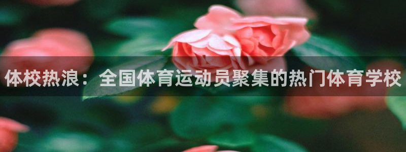 vsport体育官方正版app集团：体校热浪：全国体