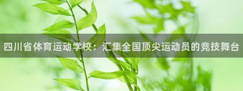 vsport体育官网下载是干嘛的公司：四川省体育运动