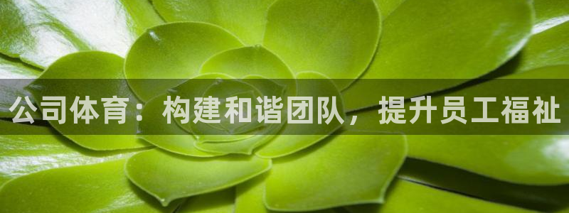 vsport体育官方正版app娱乐网站：公司体育：构