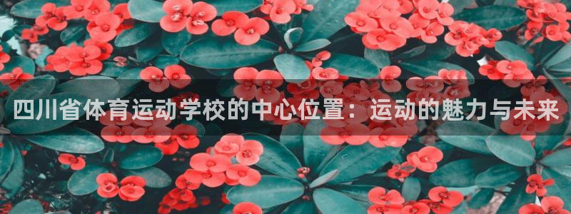 vsport体育官方正版app科技：四川省体育运动学