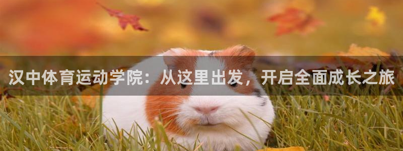 vsport体育官方正版app五金厂：汉中体育运动学